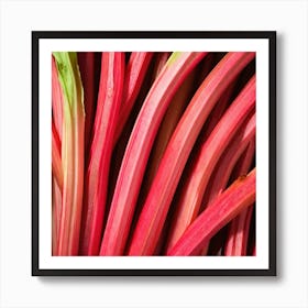 Rhubarb 19 Art Print