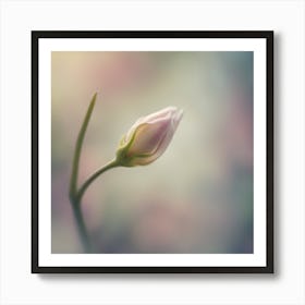 A Close Up Of A Delicate Flower Bud Just Beginning To Bloom, With Soft Petals And Hints Of Vibrant C (6) Art Print