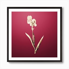 Gold Botanical Tall Bearded Iris on Viva Magenta Art Print