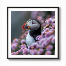 Puffin 1 Art Print