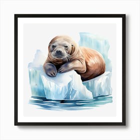 Seal On Ice Art Print