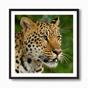 Leopard 2 Art Print