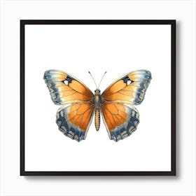 Butterfly 19 Art Print