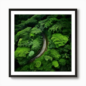 Aerial View Of A Tropical Forest Art Print