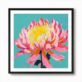 Chrysanthemum 1 Square Flower Illustration Art Print