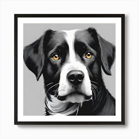 Border Collie Art Print