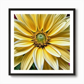 Dahlia 8 Art Print