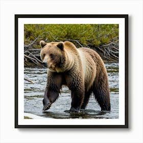 Grizzly Bear 15 Art Print