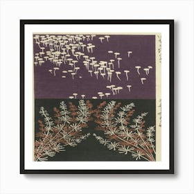 Fungi 1 Art Print