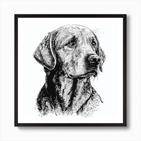 Golden Retriever 1 Art Print