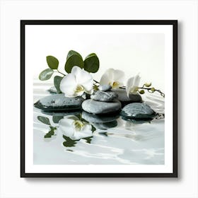 White Orchids In Water 3 Art Print