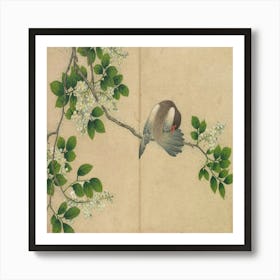 Pigeon On A Branch Art Print