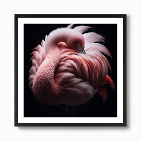 A flamingo 2 Art Print