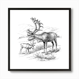 Reindeer Art Print