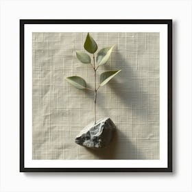  'Nature's Balance', a piece that portrays the delicate equilibrium between the organic and the inorganic. A single, verdant branch sprouting from a rugged stone offers a powerful juxtaposition against a backdrop of textured linen.  Natural Equilibrium, Organic-Inorganic Juxtaposition, Textured Linen.  #NaturesBalance, #OrganicArt, #InorganicTexture.  'Nature's Balance' is an art piece that symbolizes growth and resilience, making it a profound addition to any space. Ideal for those who seek to bring elements of nature and a sense of calm into their environment, this work captures the simple purity of life's persistence against all odds. Art Print