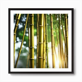 Bamboo Stock Videos & Royalty-Free Footage Art Print