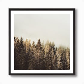 Colored Pine Trees Square Art Print