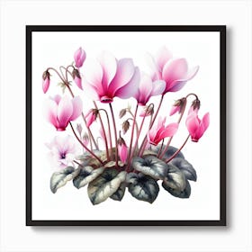 Flowers of Cyclamen Art Print