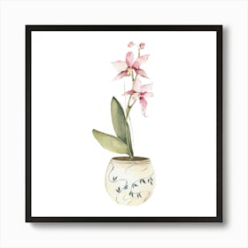 Orchid In A Pot Art Print