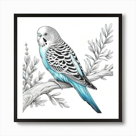 Line Art budgerigar 1 Art Print