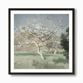 Blossoming Apple Tree Art Print