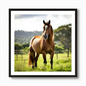 Horse Standing In A Field 2 Art Print