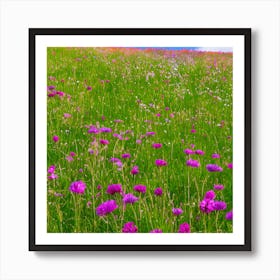 Wildflowers In The Meadow Art Print