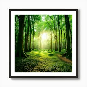 Forest - Forest Stock Videos & Royalty-Free Footage Art Print