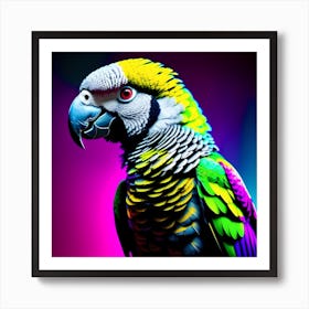 Colorful Parrot Art Print