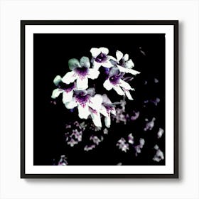 Purple Flowers Art Print