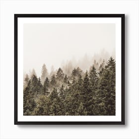 Modern Forest Square Art Print