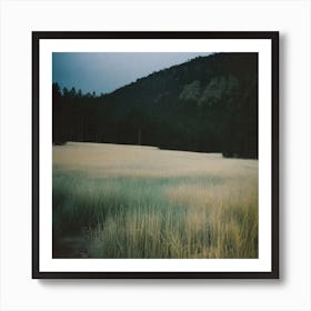 Field Of Grass Art Print