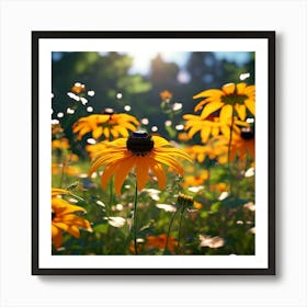 Commonly Known As Black Eyed Susans Art Print