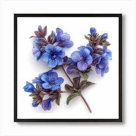 Blue Geranium 1 Art Print