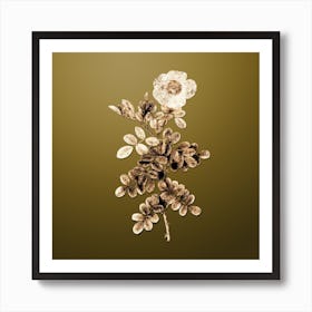 Gold Botanical Macartney Rose on Dune Yellow n.0320 Art Print