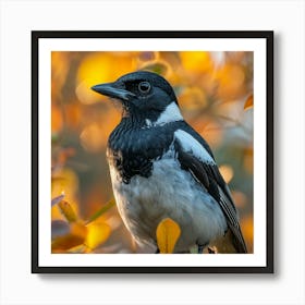 Rufous-Tailed Magpie 1 Art Print