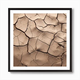 Cracked Soil Art Print