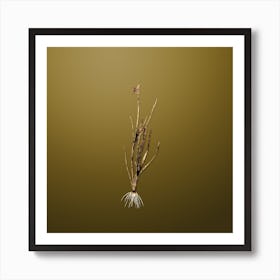 Gold Botanical Narrow leaf Blue eyed grass on Dune Yellow n.3597 Art Print