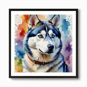 Siberian Husky Art Print