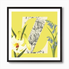 Botanical Z Art Print