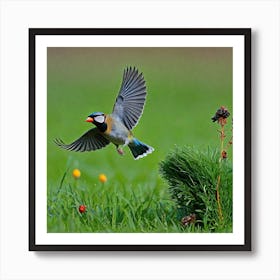 Bird Natural Wild Wildlife Tit Sparrows Sparrow Blue Red Yellow Orange Brown Wing Wings (47) Art Print