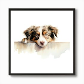 Australian Shepherd 3 Art Print