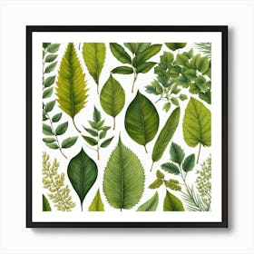 Watercolor Leaves, Different Types Of Leaves And Their Textures art print Art Print