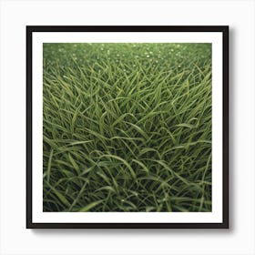 Grass Background 38 Art Print