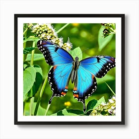 Blue Butterfly 5 Art Print