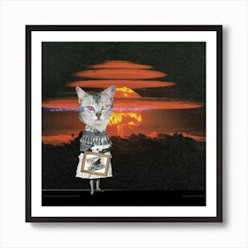 Catomania, The Seven Lives Of A Cat, Number Seven Square Art Print