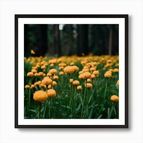 Yellow Flowers In The Forest Art Print