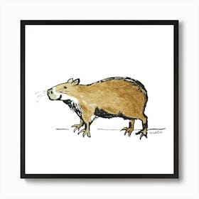 Capybara Art Print