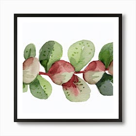 Eucalyptus Leaves Art Print