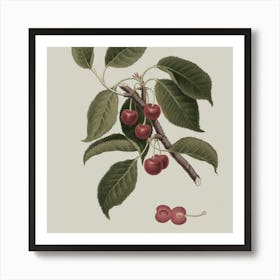 Fruit 33 2 Art Print